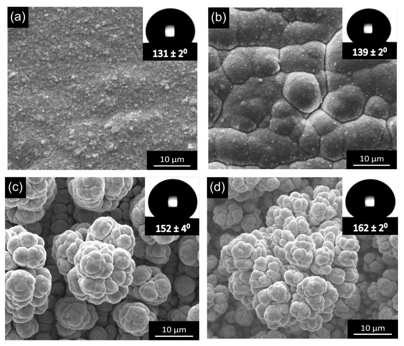 Morphology of electrodeposited hydrophobic and superhydrophobic copper surfaces.